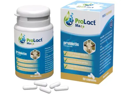 Probiotika ProLact Max 60 kapsul